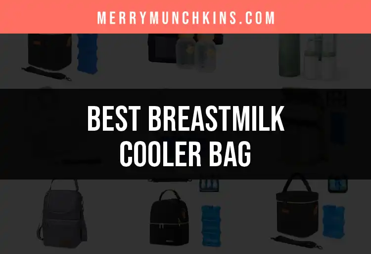 15 Best Breastmilk Cooler Bags for On-the-Go Convenience