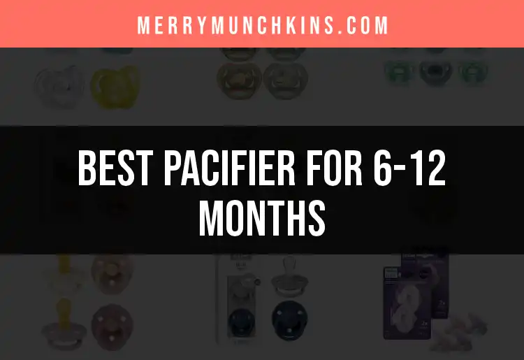 14 Best Pacifiers for 6-12 Months in 2024 featured