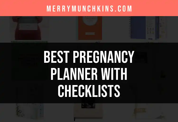 11 Best Pregnancy Planner With Checklists for Smooth Sailing
