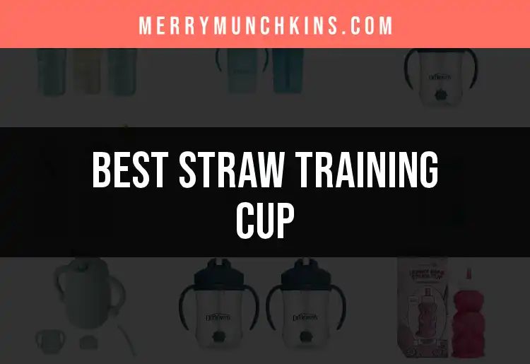 12 Stellar Straw Training Cups for Quick Sipping