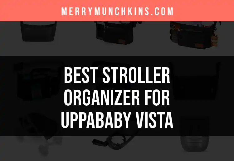14 Stylish Stroller Organizers for UPPAbaby Vista
