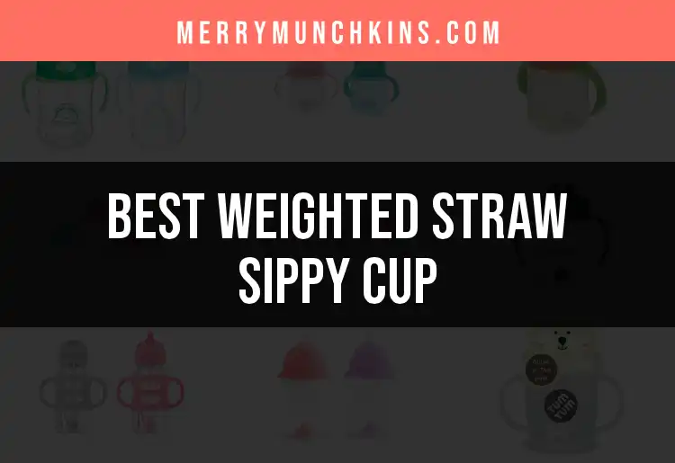 12 Best Weighted Straw Sippy Cups for Easy Drinking